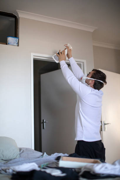 Best Mold Damage Restoration  in Seven Lakes, NC